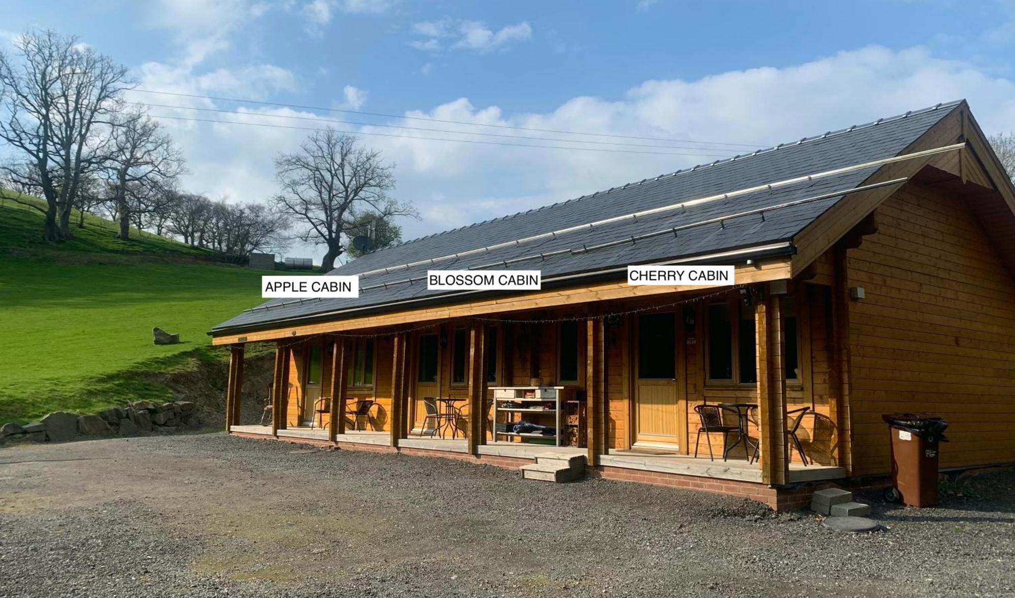 Cherry Cabin - Little Log Cabin In Wales Bettws Cedewain Eksteriør bilde